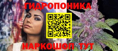 прущие грибы Малоярославец