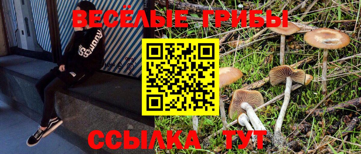Галлюциногенные грибы прущие грибы Энгельс