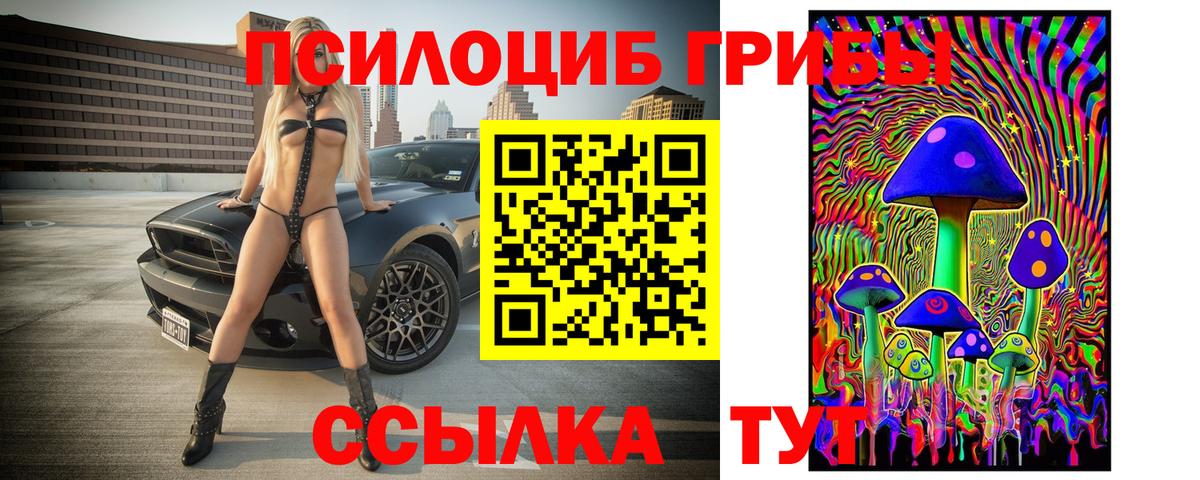 Псилоцибиновые грибы Cubensis  Вход с VPN  Энгельс 